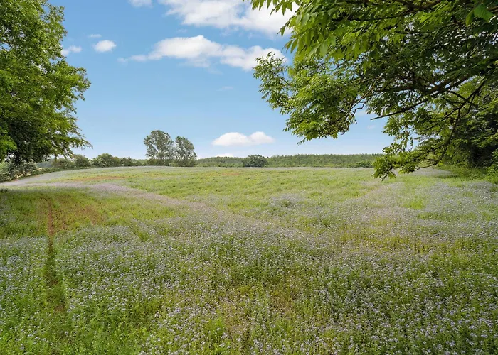 Five-bedroom In Holiday home *